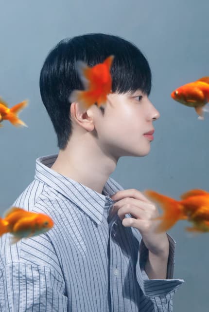 어항스튜디오 대표 이미지 2